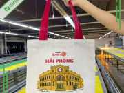 Túi Vải Bố To