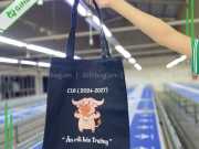 Túi Vải Canvas Hàn Quốc