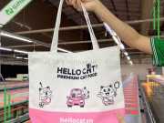 Túi Vải Bố To