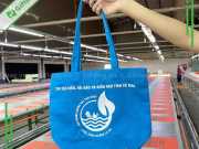 Túi Vải Canvas Đi Biển