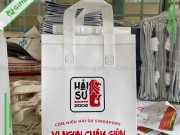 Túi Giữ Nhiệt Đựng Cơm