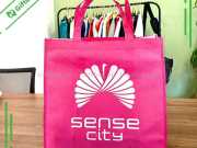 Túi Vải Không Dệt Đựng Hồ Sơ