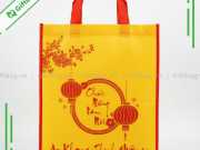 Túi Vải Không Dệt Đựng Lịch 