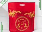 Túi Vải Không Dệt Hột Xoài