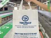 Túi Vải Không Dệt Màu Trắng