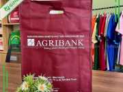 Túi Vải Không Dệt Ngân Hàng