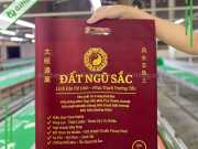 Túi Vải Không Dệt Phật Giáo