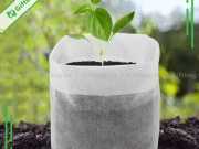Túi Vải Không Dệt Trồng Cây