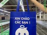 Túi Vải Không Dệt Màu Xanh