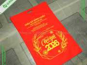 Túi Vải Không Dệt Size Lớn