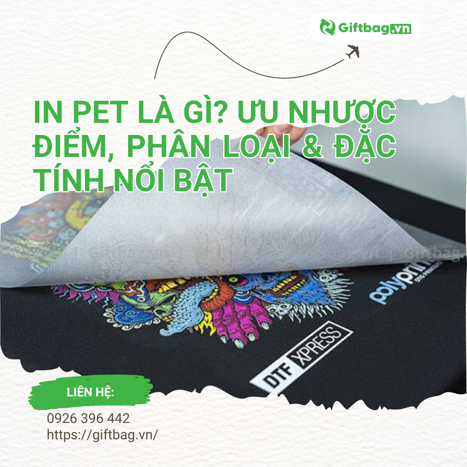 In PET Là Gì? Ưu Nhược Điểm, Phân Loại & Đặc Tính Nổi Bật
