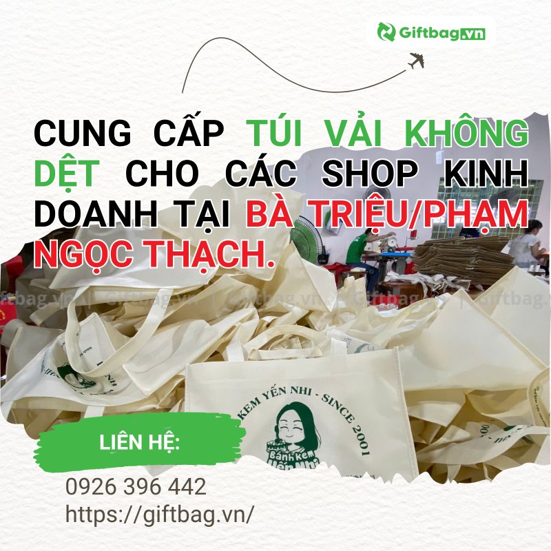 Cung Cấp Túi Vải Không Dệt Cho Doanh Nghiệp Tại Bà Triệu/Phạm Ngọc Thạch