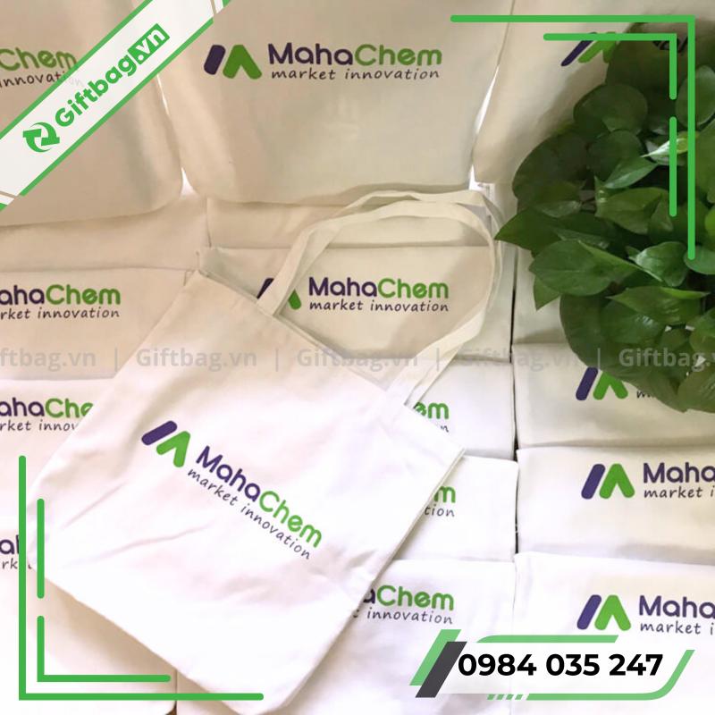 tui-vai-canvas-bao-ve-moi-truong-27