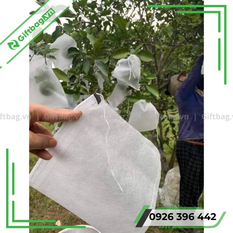 Túi Vải Không Dệt Bọc Trái Cây 