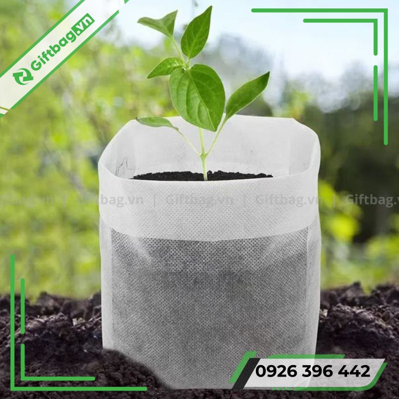 Túi Vải Không Dệt Trồng Cây