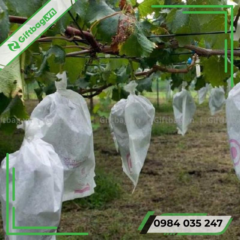 tui-vai-khong-det-boc-trai-cay-13