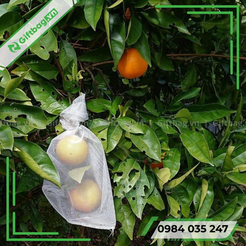 tui-vai-khong-det-boc-trai-cay-3