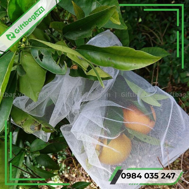 tui-vai-khong-det-boc-trai-cay-5