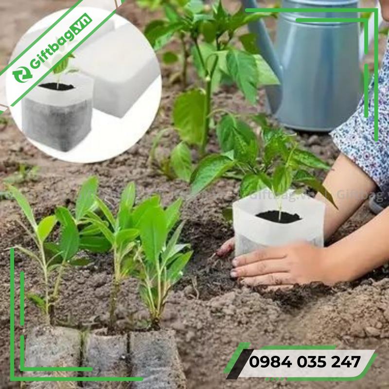 tui-vai-khong-det-trong-cay-1