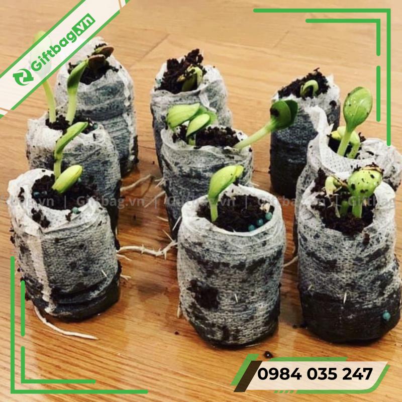 tui-vai-khong-det-trong-cay-12